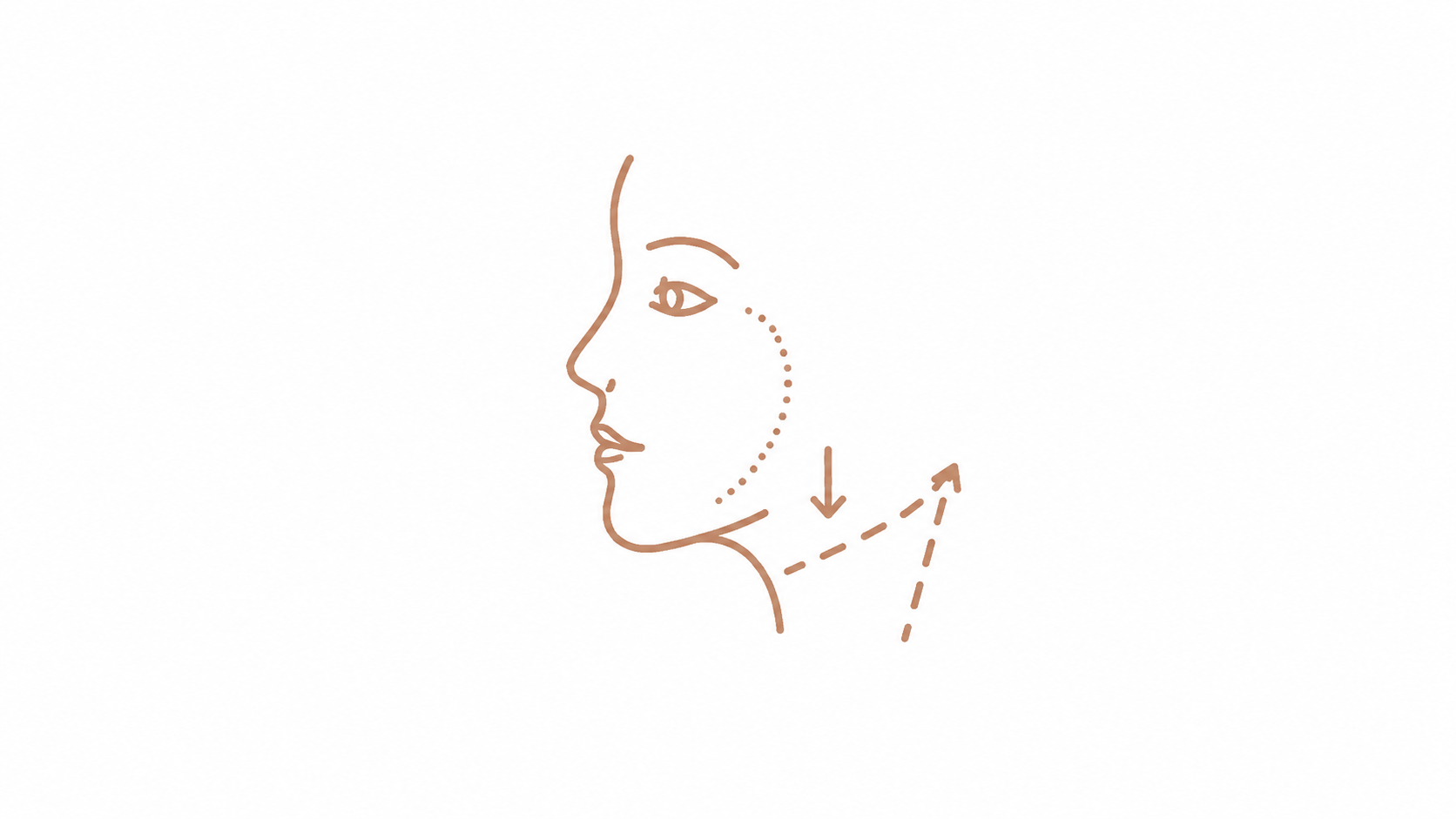 Schema visage structurel